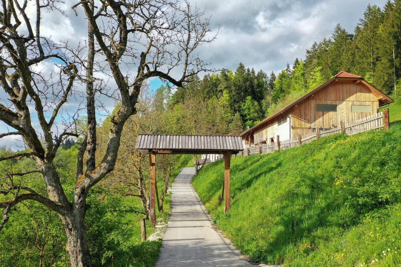 Villa Richterberg With Sauna & Hot Tub Slovinský Hradec Exteriér fotografie